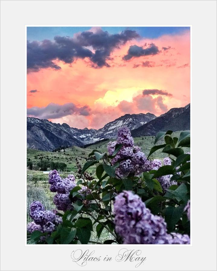 Pine Creek Cabin Livingston Montana Экстерьер фото