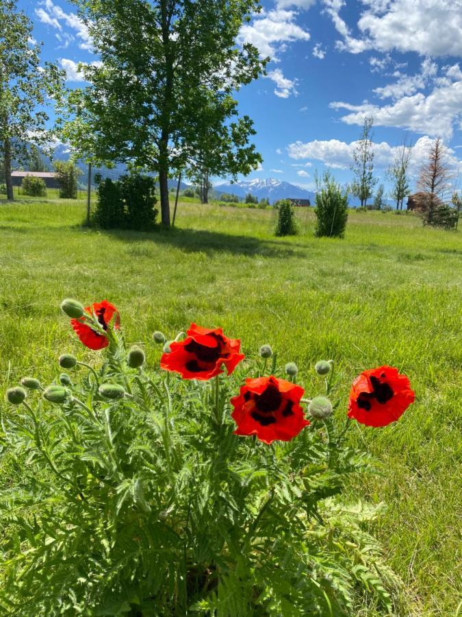 Pine Creek Cabin Livingston Montana Экстерьер фото