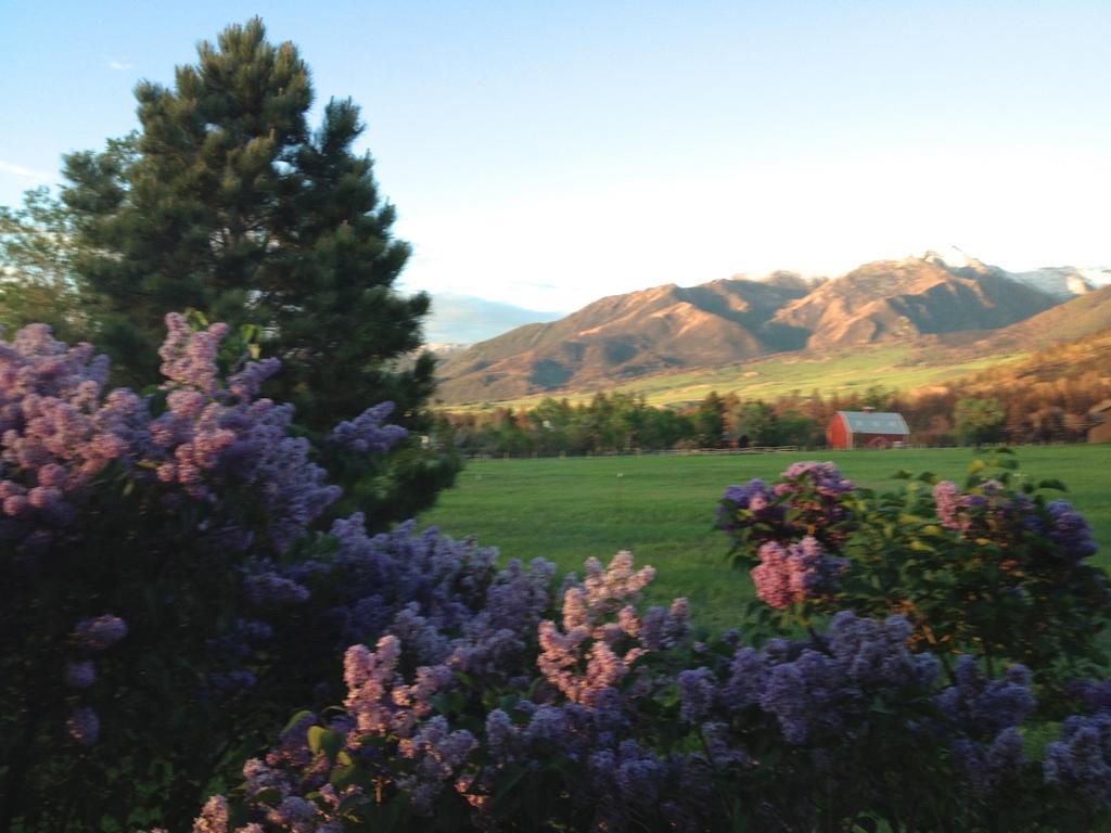 Pine Creek Cabin Livingston Montana Экстерьер фото