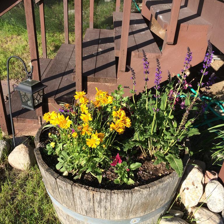 Pine Creek Cabin Livingston Montana Экстерьер фото