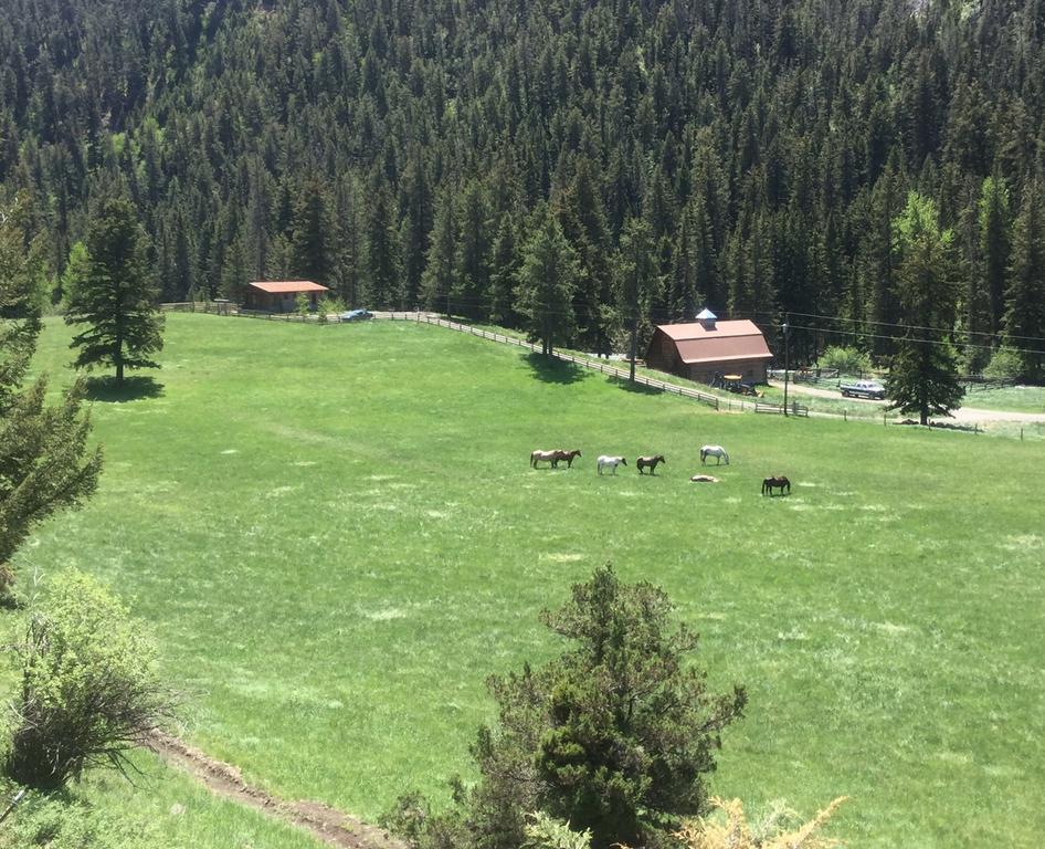 Pine Creek Cabin Livingston Montana Экстерьер фото